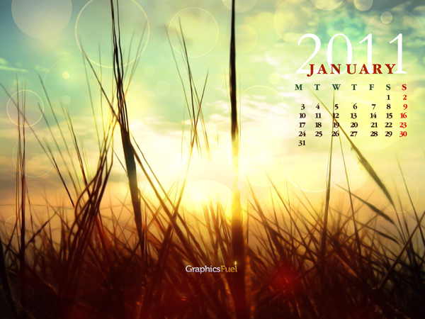 Wallpaper calendar: January 2011