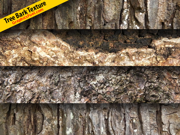 Tree bark texture pack