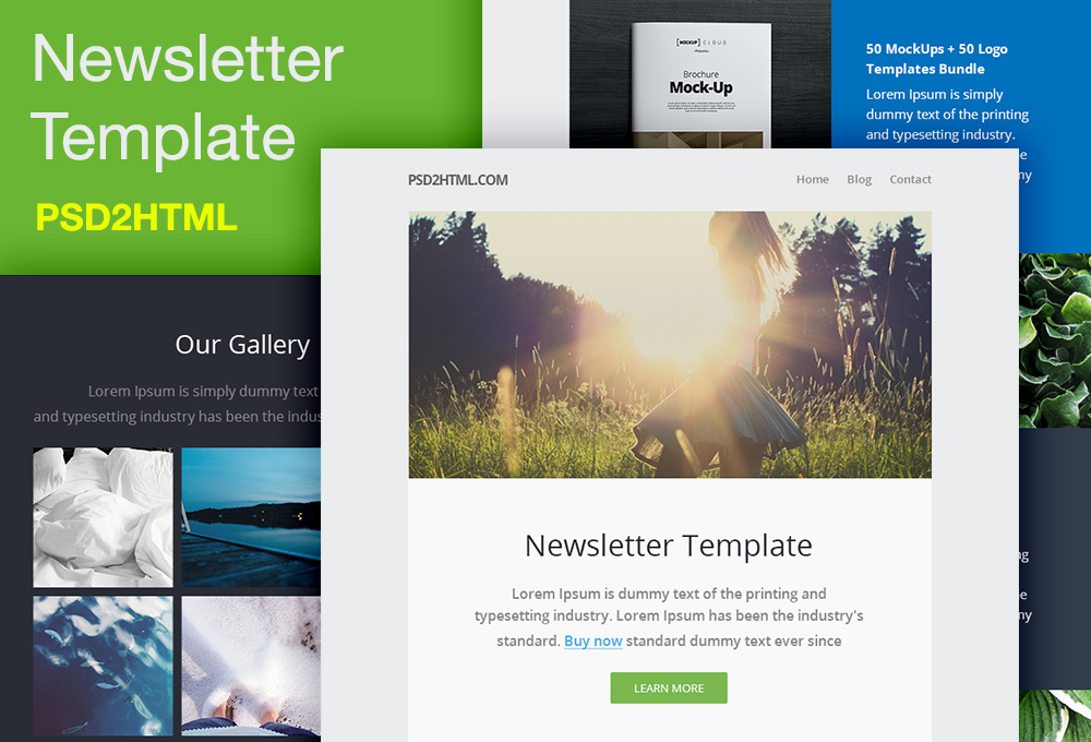 Free Newsletter Template (PSD & HTML)