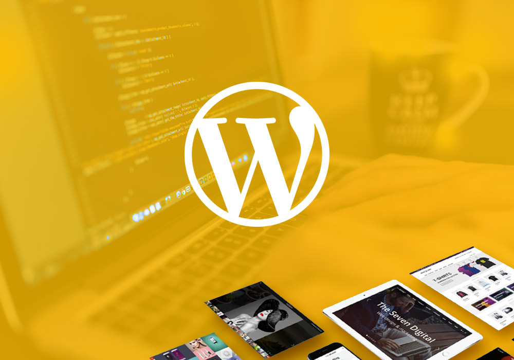 7 Reasons Why a Customizable WP Theme Will Make You Look Good