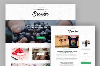 Breviter WP Blog PSD Template