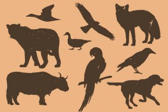 Animals & Birds Silhouette PSD