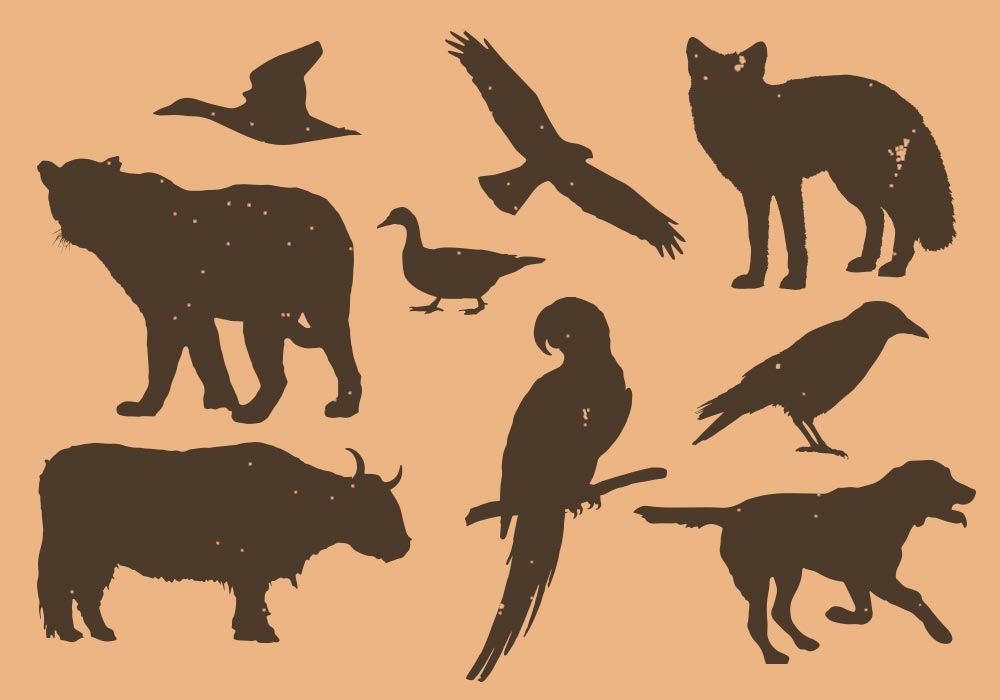 Animals & Birds Silhouette PSD