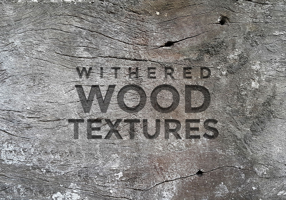 Free Withered Wood Textures