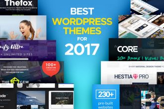 Best Wordpress Themes for 2017