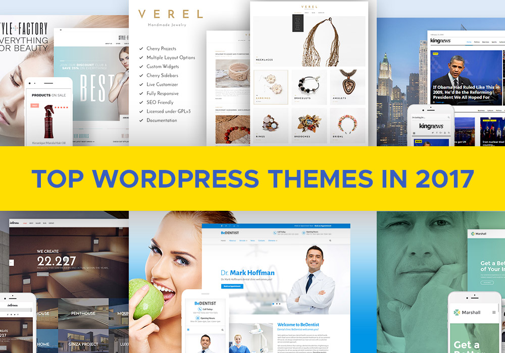 Top WordPress Themes in 2017