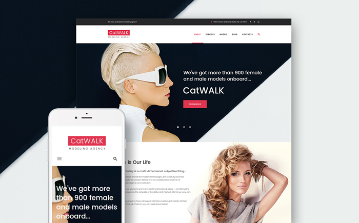 Model Agency Responsive WordPress Theme