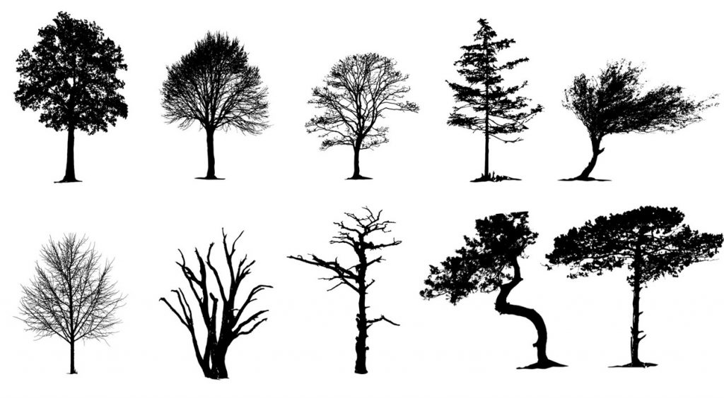 Vector Tree Silhouettes