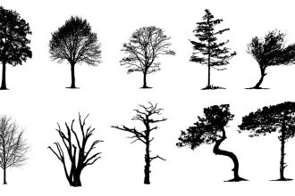 Vector Tree Silhouettes