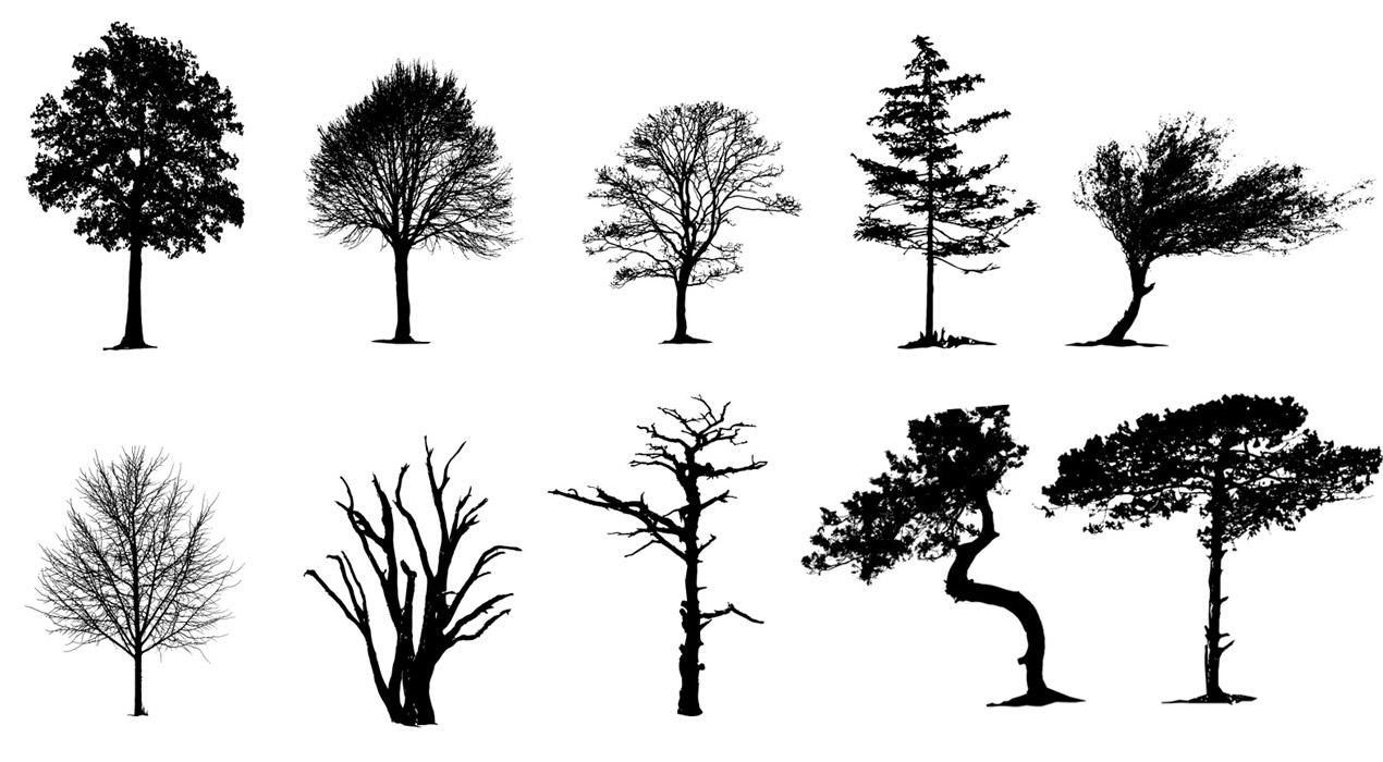 Vector Tree Silhouettes Pack