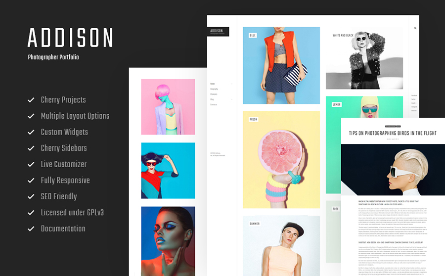 Photographer Portfolio WordPress Theme 