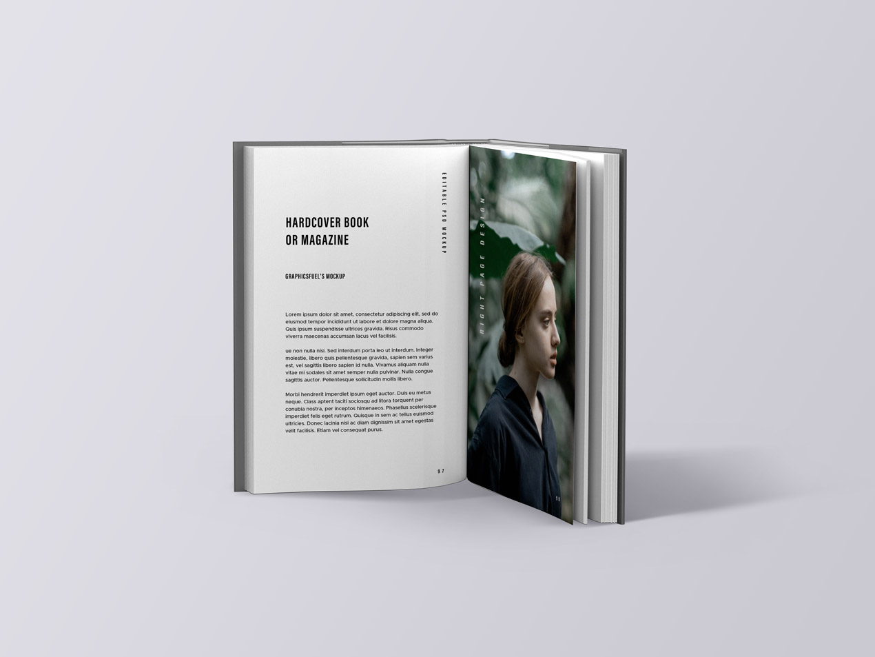 Book Mockup PSD