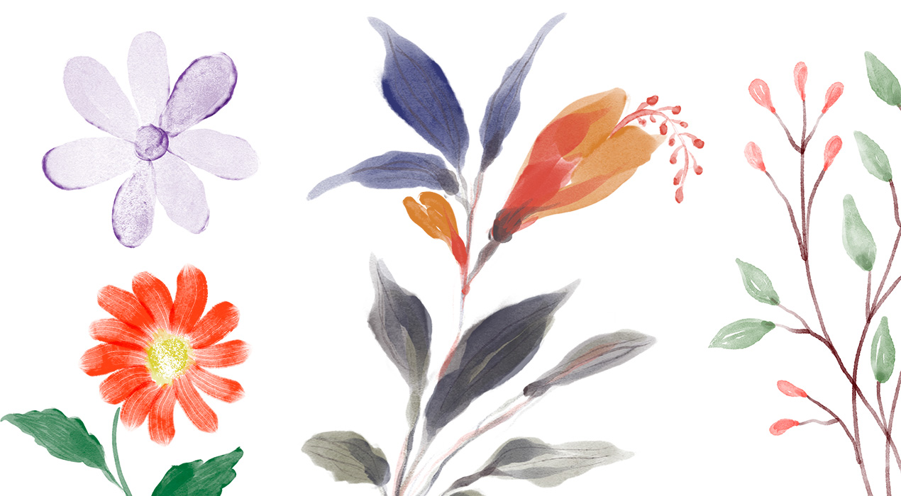 Hand-painted Watercolour Floral Elements