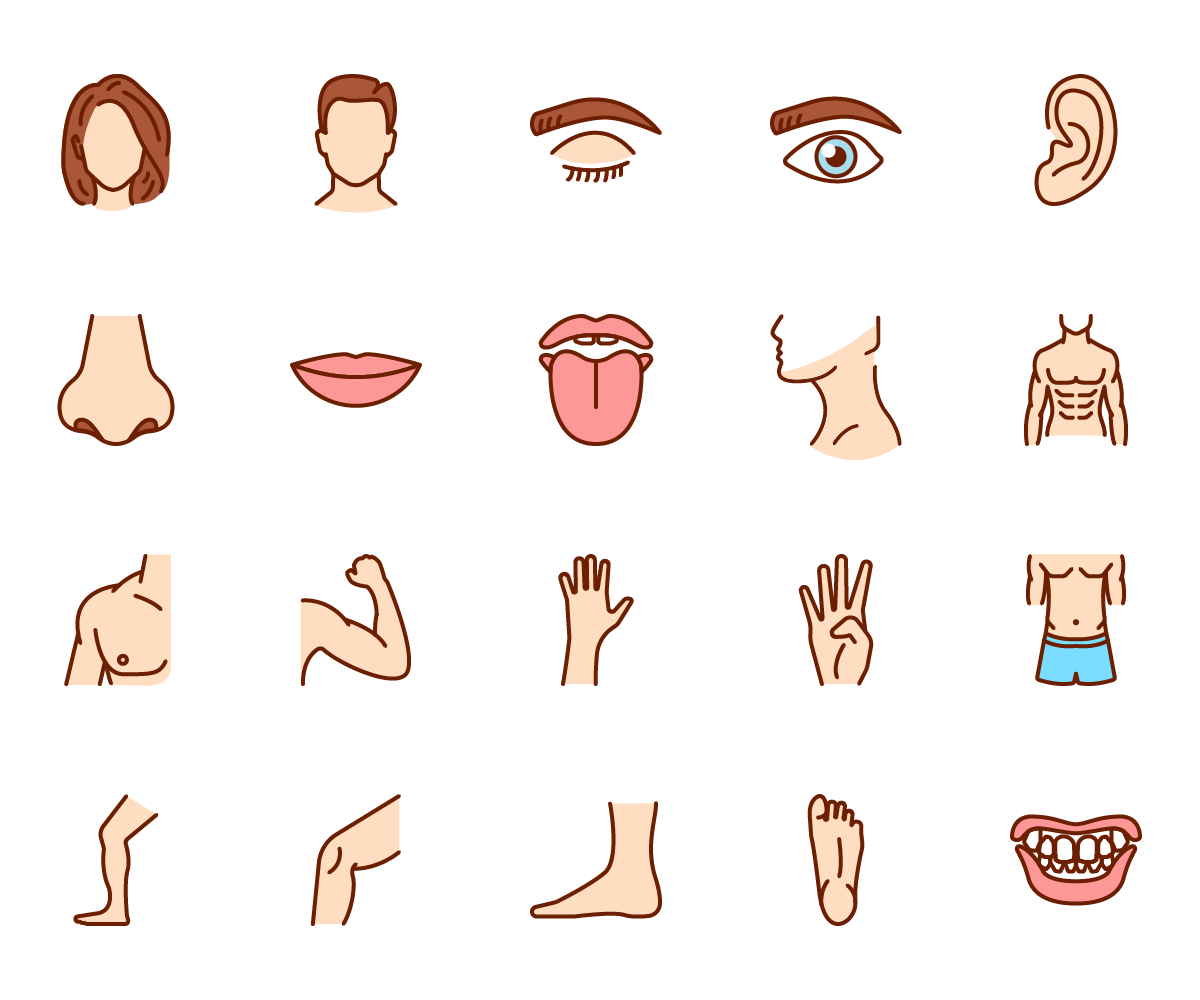 Human Body Colour Vector Icons