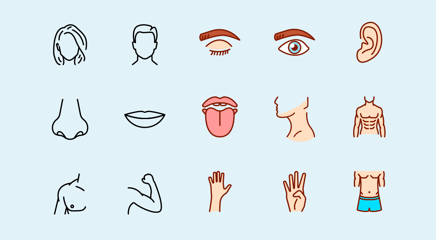 Human Body Parts Vector Icons